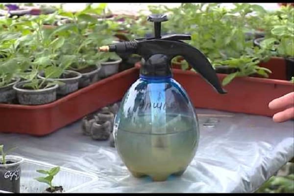 Gärtner Bewertungen