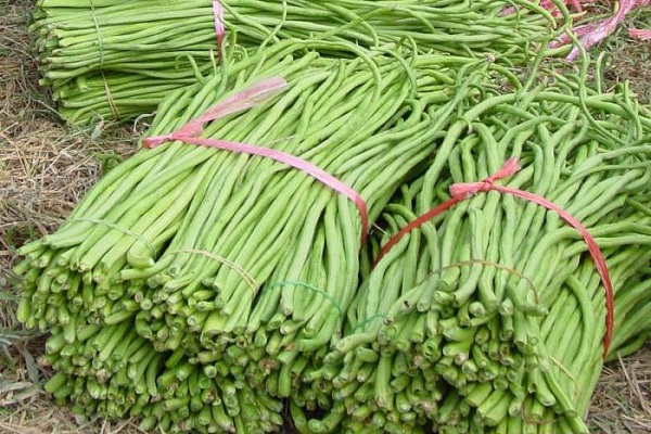 verzögertes Erscheinen