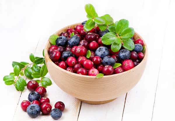 Blaubeeren und Preiselbeeren