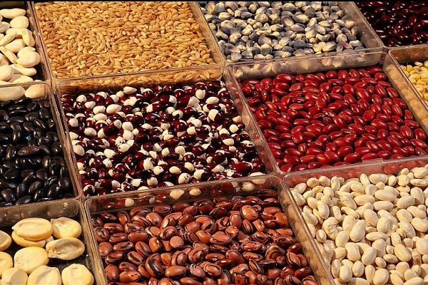 détruira les larves