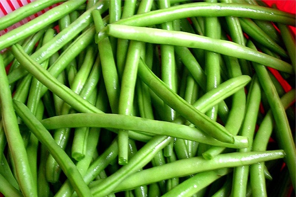 produits de haricots