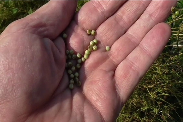 durée de conservation