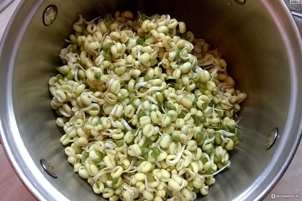 contiennent des vitamines