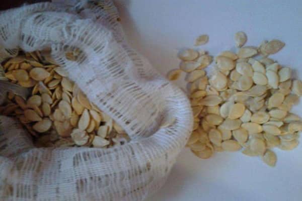 se préparer au semis