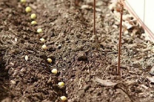 se réchauffer au chaud