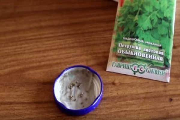 Saatbettvorbereitung