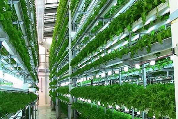 vorbereitetes Substrat