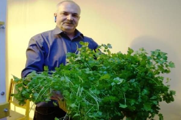 Die Samen gingen vorbei