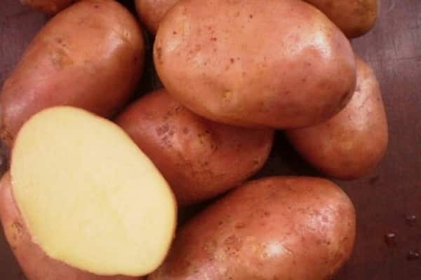 potato Ilyinsky