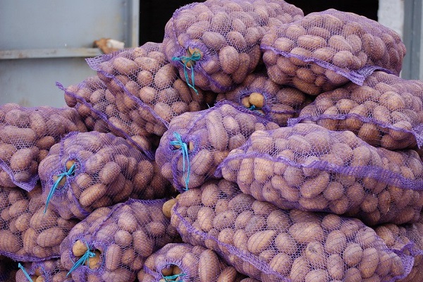 im Unterfeld durchgeführt