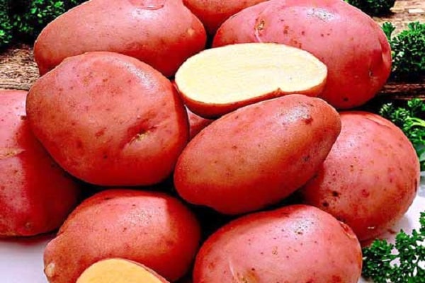 verdient ehrenamtlich