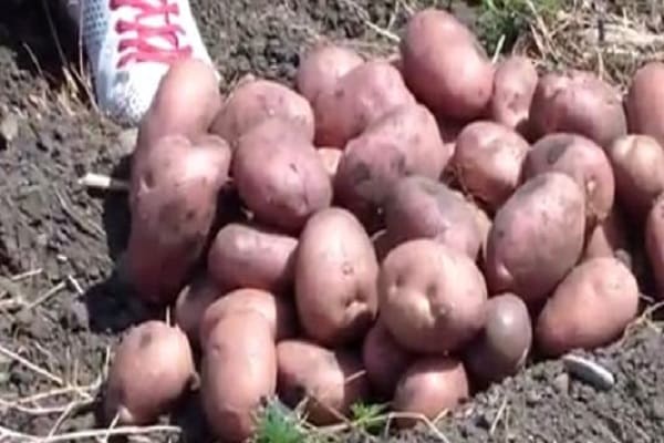 müssen sich vorbereiten