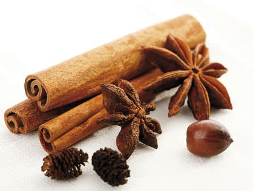 Zimt, Nelken, Minze, Ingwer.