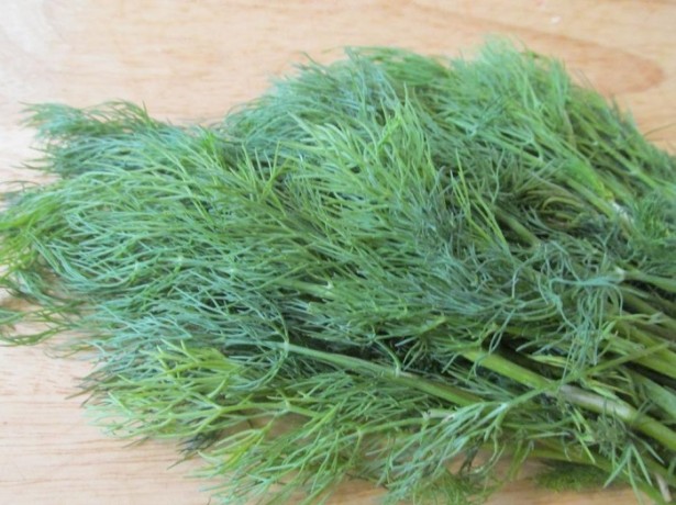 ein Haufen Dill