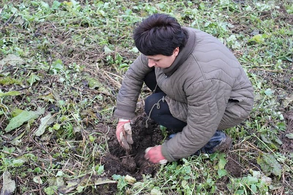 de plusieurs manières