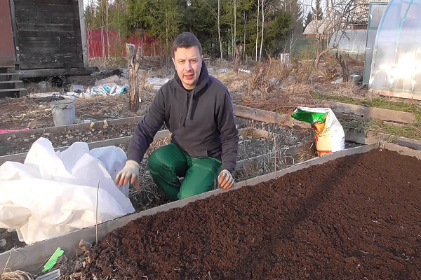 plantation d'engrais vert