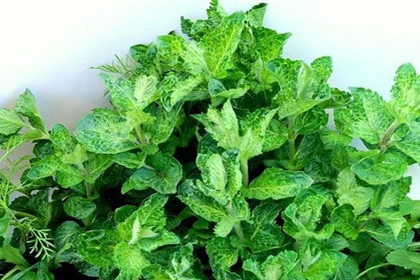 erhöhte Aufmerksamkeit