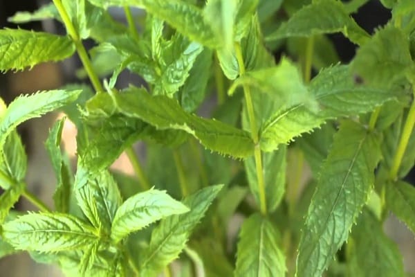 containers are removed