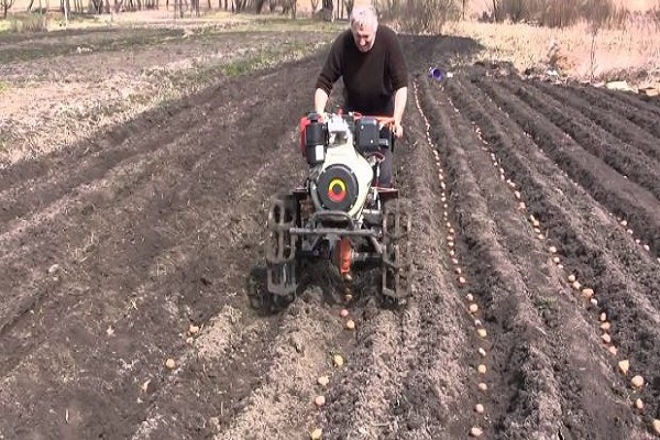 fraise à deux rangées