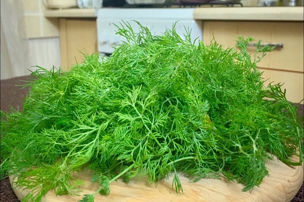 Herbst oder Frühling