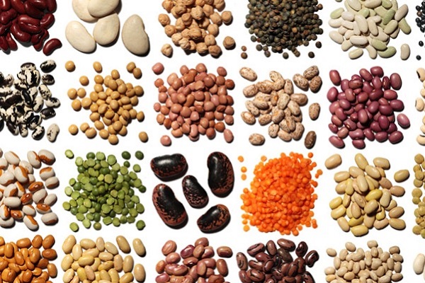 toutes les légumineuses