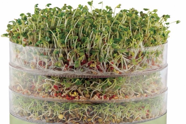 Beobachten Sie das Maß