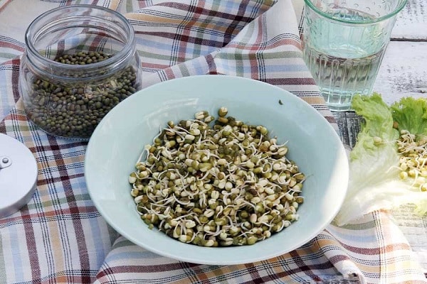 individuelle Intoleranz