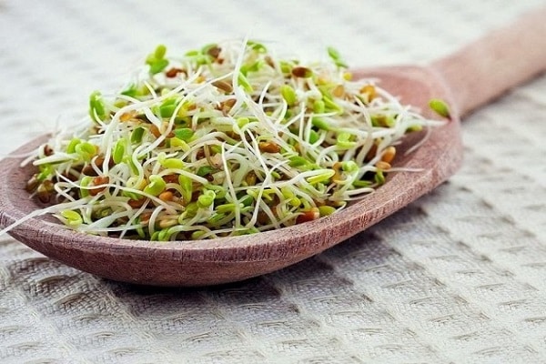 angenehmer Geschmack