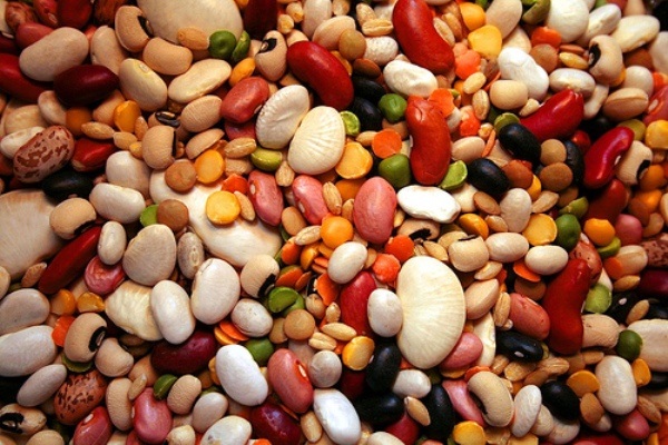 avantages des haricots