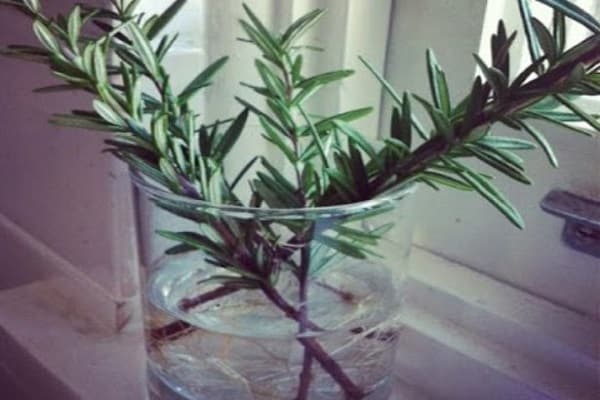 Côte méditerranéenne