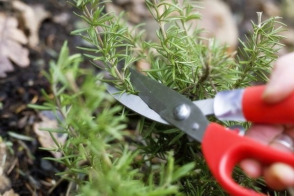 nécessairement recadrée