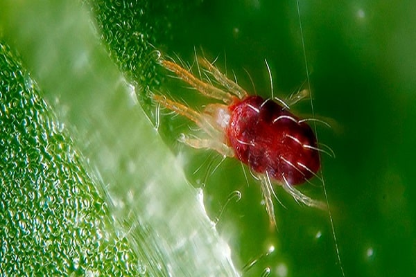 conditions défavorables