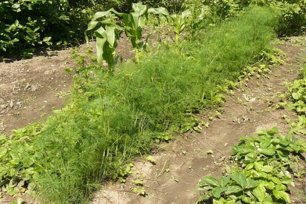 qualités commerciales