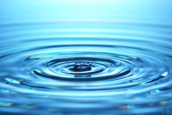 infection parasitaire