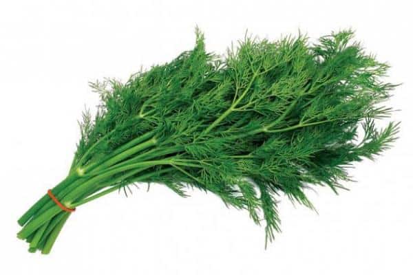 ein Haufen Bart von Dill Monk