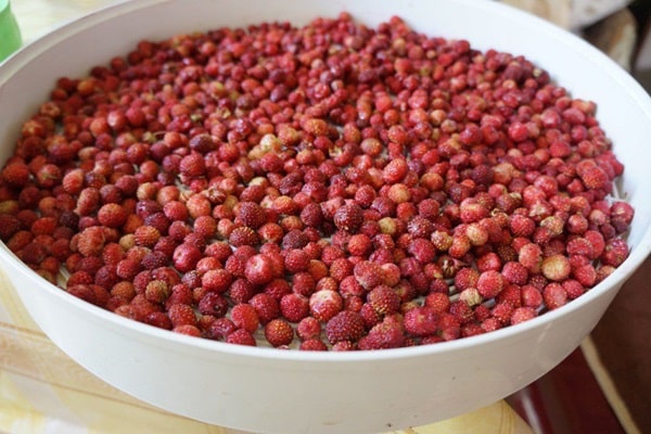 Erdbeeren in einer Schüssel