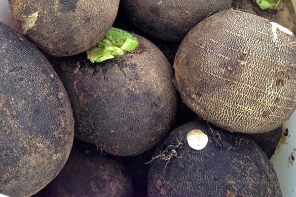 dates de débarquement