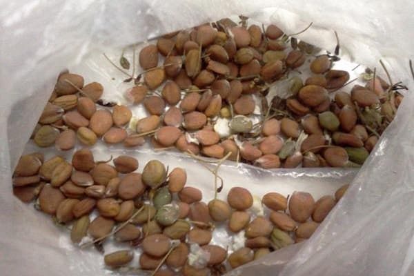 Temperaturunterschiede