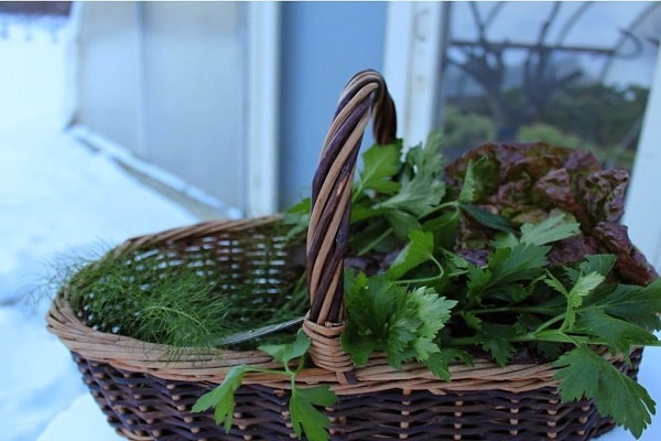 große Arbeitskosten