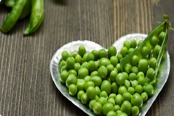 système génito-urinaire