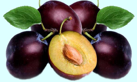 prunes avec des brindilles