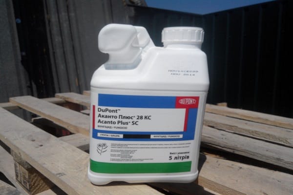 médicaments de protection