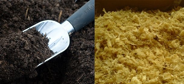 fertilisation dans le sol