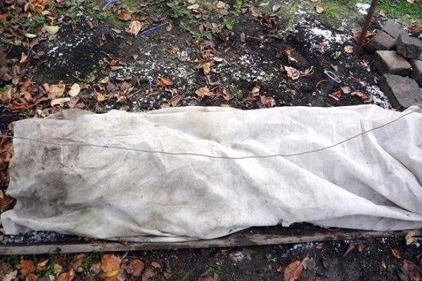 kann abgedeckt werden