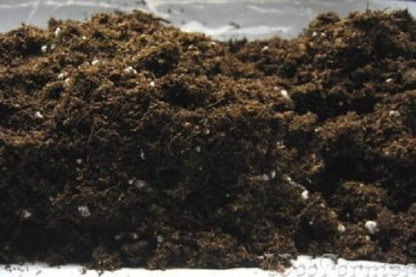 component of the earth