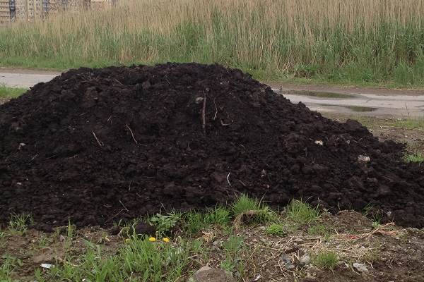 the region is unique