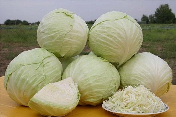 implique la formation