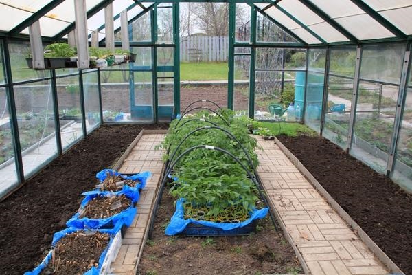 débarquement sous serre