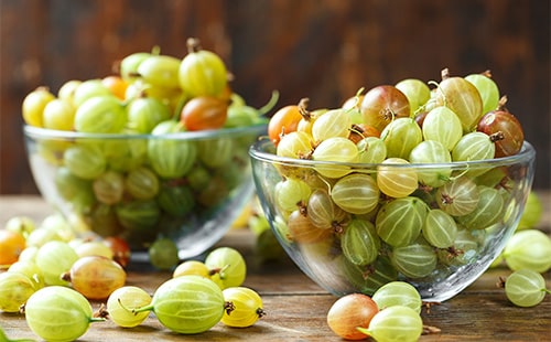 gooseberries in a bowl