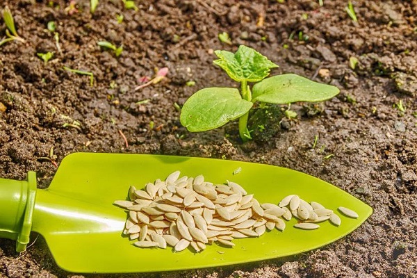 traitement à l'oxygène